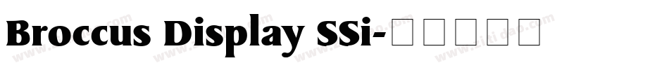 Broccus Display SSi字体转换
